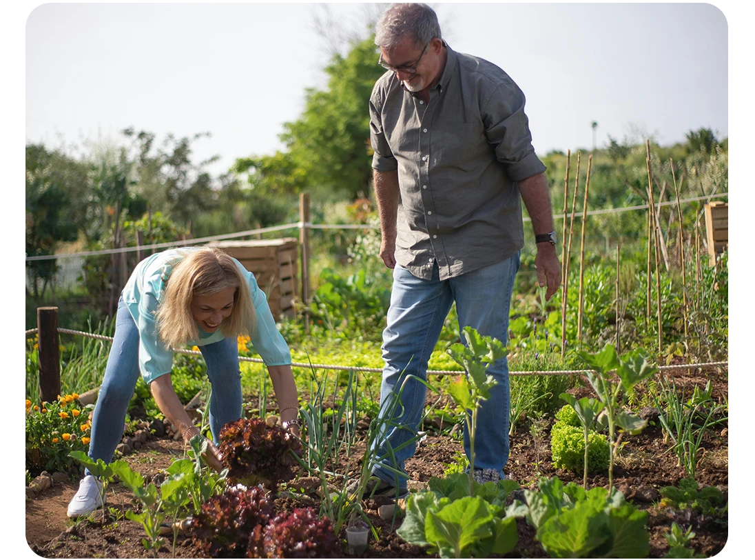 Des jardins participatifs à Peynier